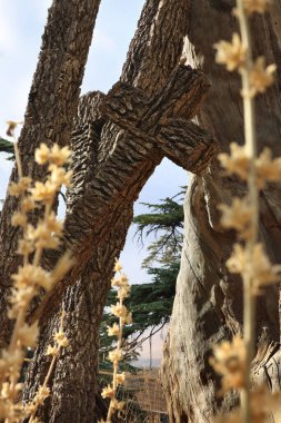 Lübnan 'ın sedir ormanlarının arasında sedir ağacından yapılmış bir haç. 