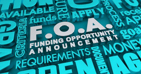 Foa供资机会公告赠款申请程序3D说明 — 图库照片