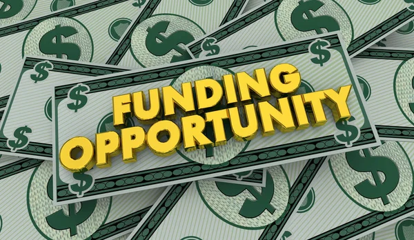 Funding Opportunity Announcement Foa Money Funds Grant Open Available Illustration — Stockfoto