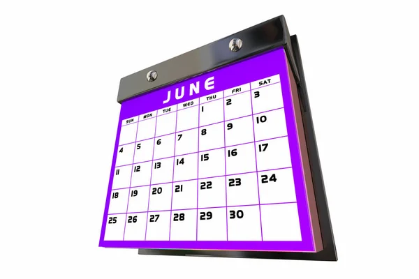 Juni Maand Kalender Planner Schema Dagen Data Herinnering Zomer Illustratie — Stockfoto