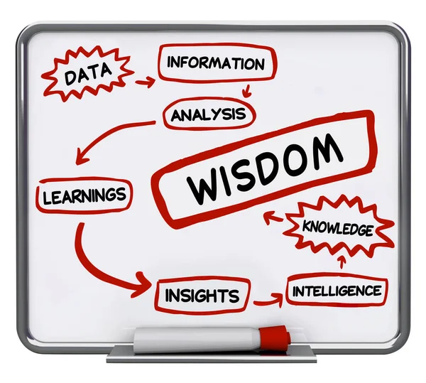 Data Information Insights Knowledge Wisdom Diagram 3d Illustration