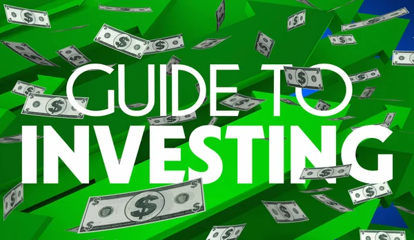Guide Investing Money Stock Market Trading Grow Increase Wealth Portfolio Image En Vente
