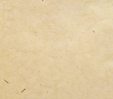 Sade, el yapımı, kırışıklıkları, kabukları ve lifli zerreleri olan bej kağıt arka plan