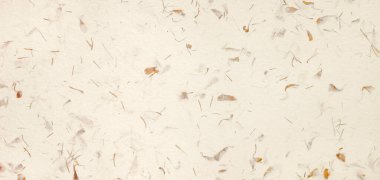 Düz, el yapımı krem renkli kağıt arka planda küçük yapraklar ve liflere sarılmış saplar.