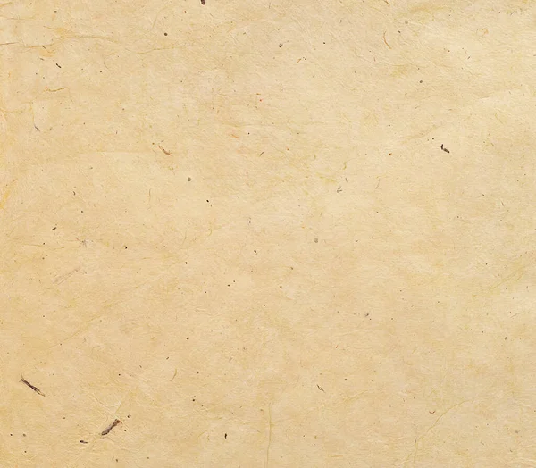 Sade Yapımı Kırışıklıkları Kabukları Lifli Zerreleri Olan Bej Kağıt Arka — Stok fotoğraf