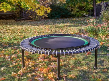 Spor için mini trambolin arka bahçede egzersiz ve ribaund, sonbahar manzarası