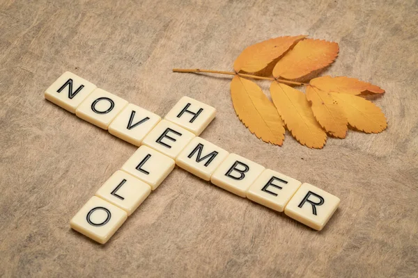 黄色の葉を持つ象牙の文字ブロックでこんにちは11月のクロスワード 秋の休日の概念 — ストック写真
