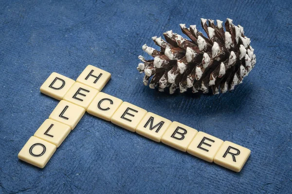 Hallo Dezember Kreuzworträtsel Elfenbein Buchstabenblöcke Mit Einem Dekorativen Frostigen Tannenzapfen — Stockfoto