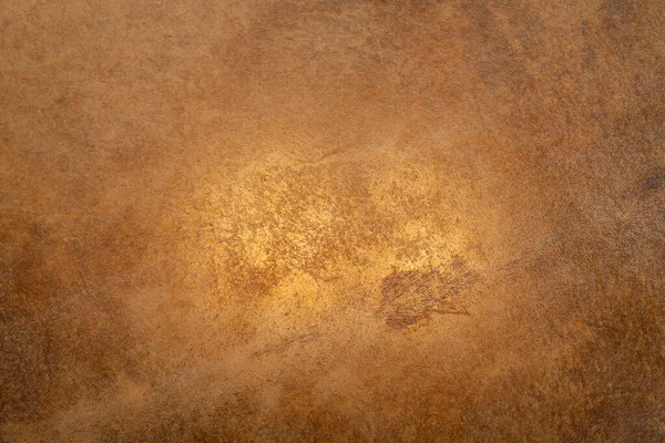 Tekstura Skóry Kozy Bębnie Ramki Szamana Podświetleniem — Zdjęcie stockowe