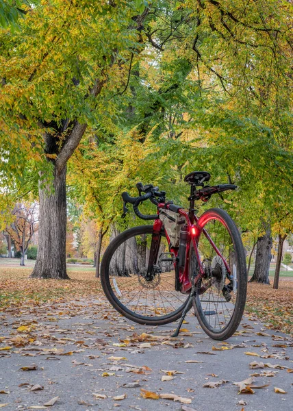 秋の色の風景の古いアメリカのエルムの木の路地でのツーリングバイク コロラド州立大学の歴史的なオーバル フォートコリンズのランドマーク レクリエーションと通勤コンセプト — ストック写真