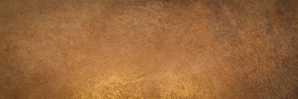 Textura Kozí Kůže Bubnu Šamanského Rámu Podsvícením Panoramatický Web Prapor — Stock fotografie