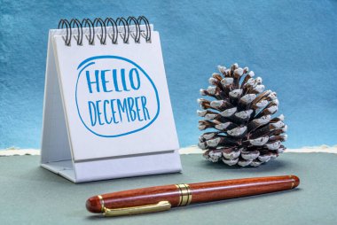 Merhaba Aralık tebrik kartı - bir eskiz defteri veya masaüstü takviminde dekoratif buzlu çam kozalaklı el yazısı, kış takvimi konsepti