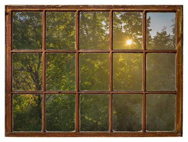 Тепле Сонце Сяє Через Листя Дерева Осінні Пейзажі Видно Вінтажного — стокове фото