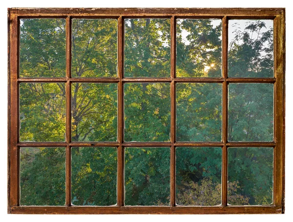 Sıcak Güneş Ağaç Yapraklarının Arasından Parlıyor Eski Kuşak Penceresinden Görüldüğü — Stok fotoğraf