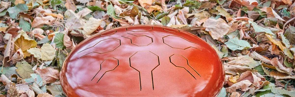 Τύμπανο Κόκκινης Χαλύβδινης Γλώσσας Έδαφος Που Καλύπτεται Από Ξηρά Φύλλα — Φωτογραφία Αρχείου