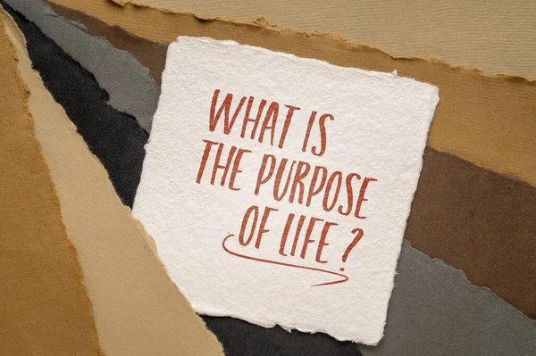 What Purpose Life Philosophical Question Handwritten Art Paper — ストック写真