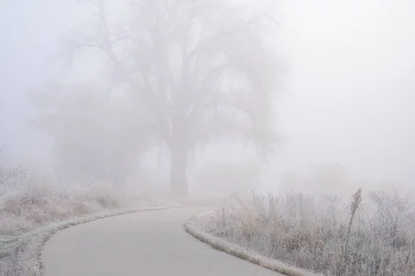北科罗拉多自行车痕迹在雾 月早晨在温莎附近小道丽粉饼河 — 图库照片
