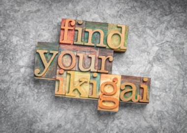 find your ikigai word abstract in letterpress wood type - Japanese concept of a reason for being and life purpose clipart