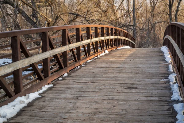 Ποδήλατο Μονοπάτι Και Πεζογέφυρα Πάνω Από Ένα Ποτάμι Χειμώνα Νωρίς — Φωτογραφία Αρχείου