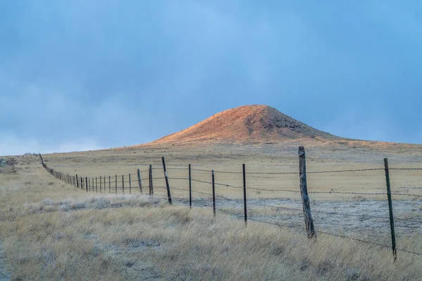 Valla Ganado Pradera Colorado Atardecer Área Natural Soapstone Prairie Cerca — Foto de Stock