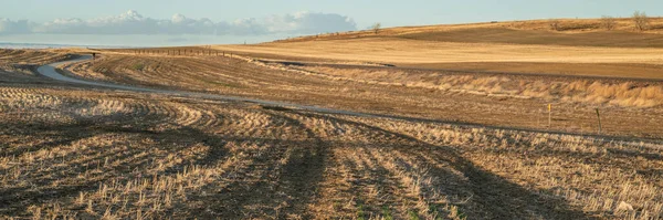 Solnedgång Över Cykelled Och Fält Colorado Foten Tidig Vår Landskap — Stockfoto