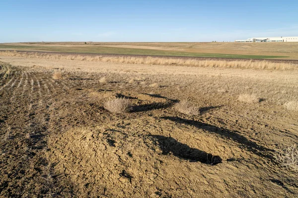 Early Spring Landscape Northern Colorado Foothills Prairie Dog Dens Farmland — Stock Photo, Image