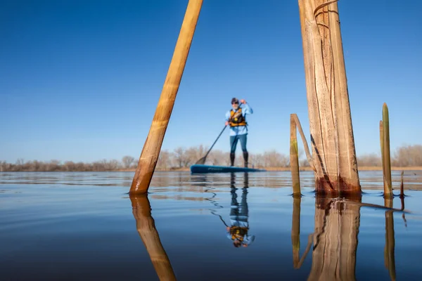Canne Lago Calmo Primavera Con Fuori Fuoco Stand Paddler Prospettiva — Foto Stock