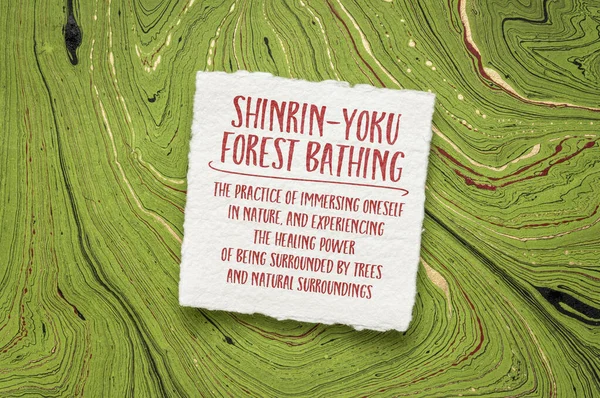 Concepto Japonés Shinrin Yoku Bañarse Bosque Práctica Sumergirse Naturaleza Experimentar —  Fotos de Stock