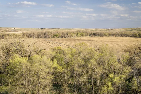 Весенний Пейзаж Сельхозугодий Центральной Части Небраски Закате — стоковое фото