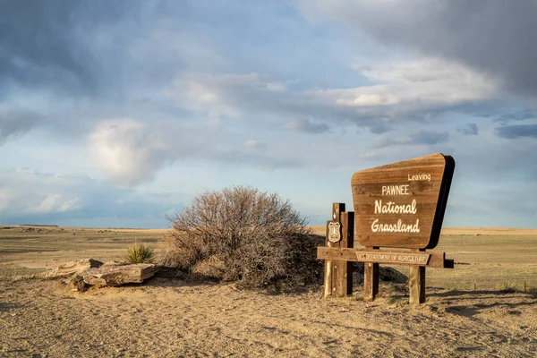 Stoneham Abd Nisan 2023 Pawnee Ulusal Çayırından Çıkmak Doğu Colorado — Stok fotoğraf