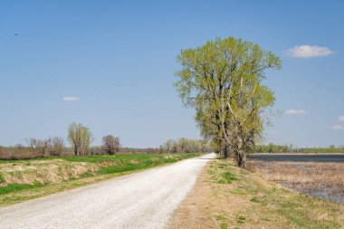 Missouri 'deki Loess Bluffs Ulusal Yaban Hayatı Sığınağı' nda su kuşu görmek için toprak ziyaretçi yolu.