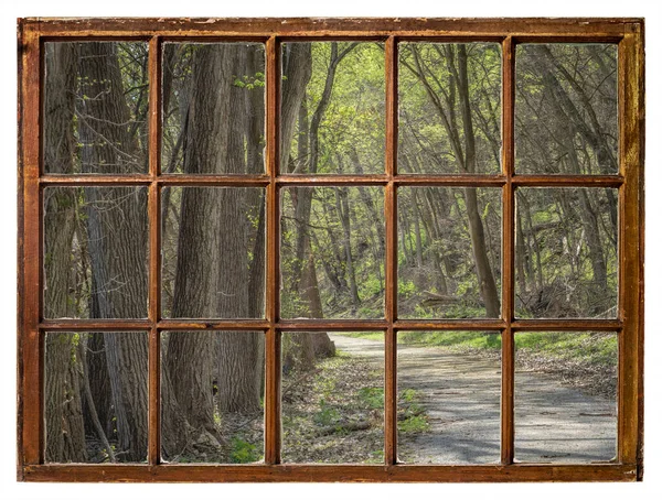 Forest Road Springtime Missouri River River Nebraska Vintage Sash Window — Stock Photo, Image