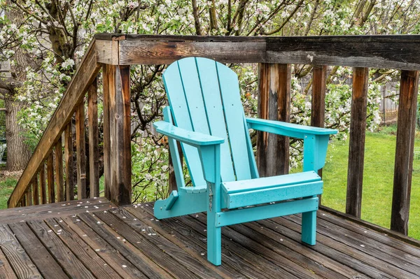 空的Adirondack椅子在一个木制的后院甲板上 春天的风景与一棵盛开的苹果树 — 图库照片