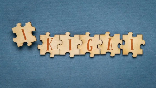 Ikigai Japanisches Lebens Und Karrierekonzept Wort Für Wort Puzzleteile — Stockfoto