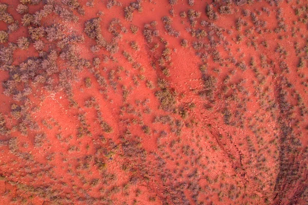 Badlands Rouges Paysage Avec Une Végétation Grossière Dans Les Contreforts — Photo