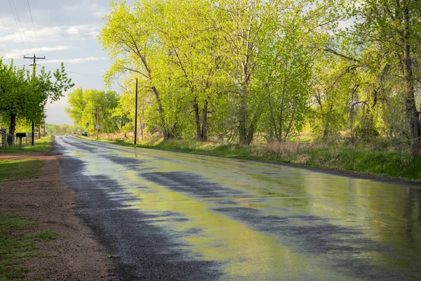 Nasse Hinterlandstraße Colorado Nach Frühlingsschauern — Stockfoto