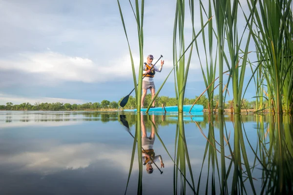 シニア男性パドラーは早春の穏やかな湖の上にスタンドアップパドルボードを漕いでいます 水位でのアクションカメラからカエルの視点 — ストック写真