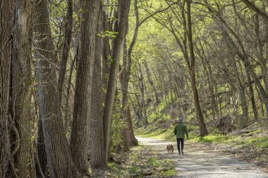 İlkbaharda bir ormanda köpekle yürüyen yaşlı bir adam - Peru, Nebraska yakınlarındaki Steamboat Trace Trail