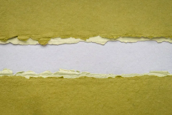 Abstrait Papier Vert Gris Avec Espace Copie Bannière Web Vierge — Photo