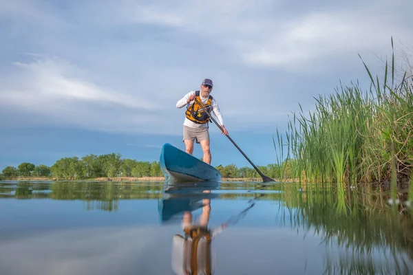 シニア男性パドラーは春に穏やかな湖の上にスタンドアップパドルボードを漕いでいます 水位でのアクションカメラからカエルの視点 — ストック写真