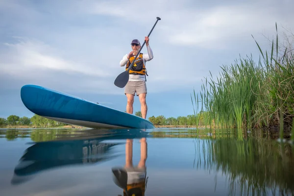 今年春天 年长的男子划桨手正在平静的湖面上划着一块独立的划桨板 而在水平面上 从一个动作相机的角度来看 他是一只青蛙 — 图库照片