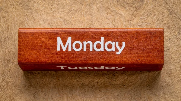 Monday Tuesday Text Wooden Block Handmade Bark Paper Earth Tones — Stock Photo, Image