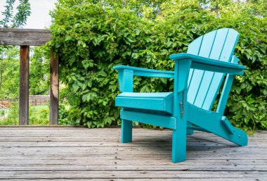 boş bir Adirondack sandalyesi ahşap bir arka bahçede, yeşil bir sarmaşıklı yaz manzarası