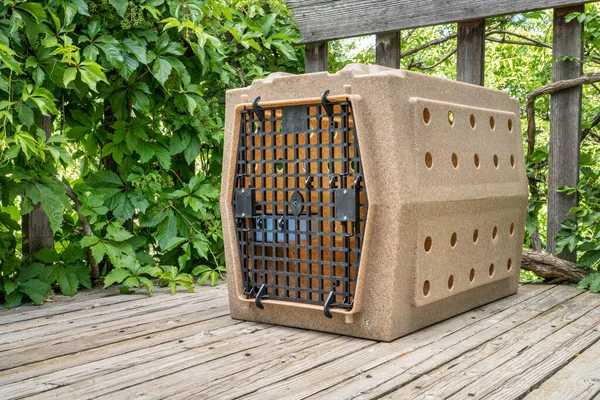 木製の裏庭のデッキで頑丈な犬の旅行ケンネル — ストック写真