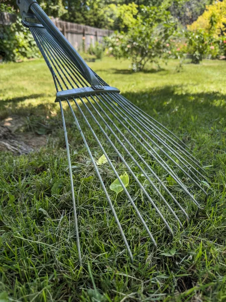 Yeşil Arka Bahçede Ayarlanabilir Tel Tırmık — Stok fotoğraf