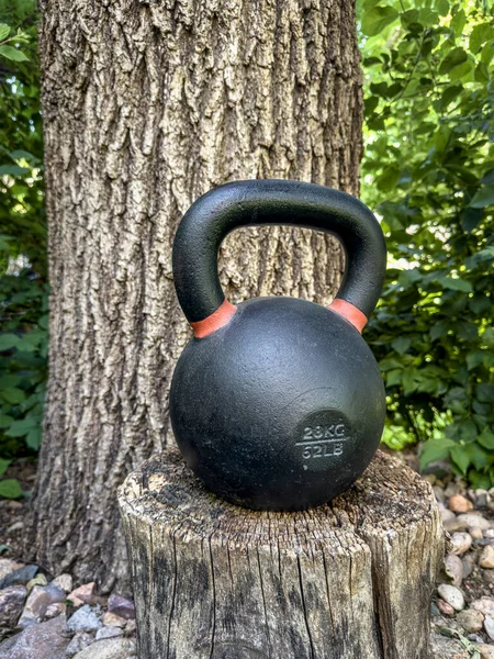 Heavy Iron Kettlebell Backyard Oak Tree Outdoor Fitness Concept — Stock Photo, Image