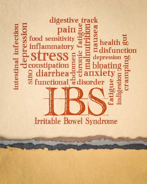Ibs Síndrome Intestino Irritável Nuvem Palavras Sobre Papel Arte Trilha — Fotografia de Stock
