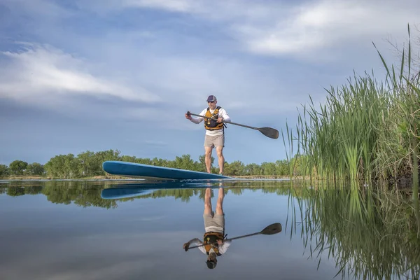 Sénior Macho Paddler Está Remando Stand Paddleboard Lago Calmo Primavera — Fotografia de Stock
