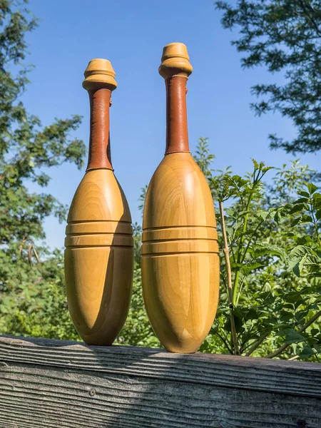 木製のインド運動クラブのペア緑のつるに対してデッキ — ストック写真