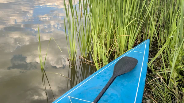 湖の上に炭素繊維のパドルと緑の木とスタンドアップパドルボードの弓 — ストック写真